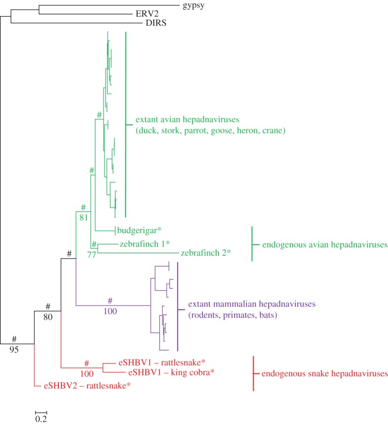 Figure 4.