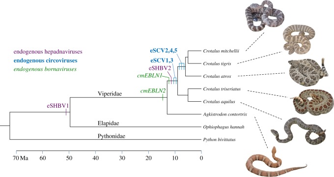 Figure 1.