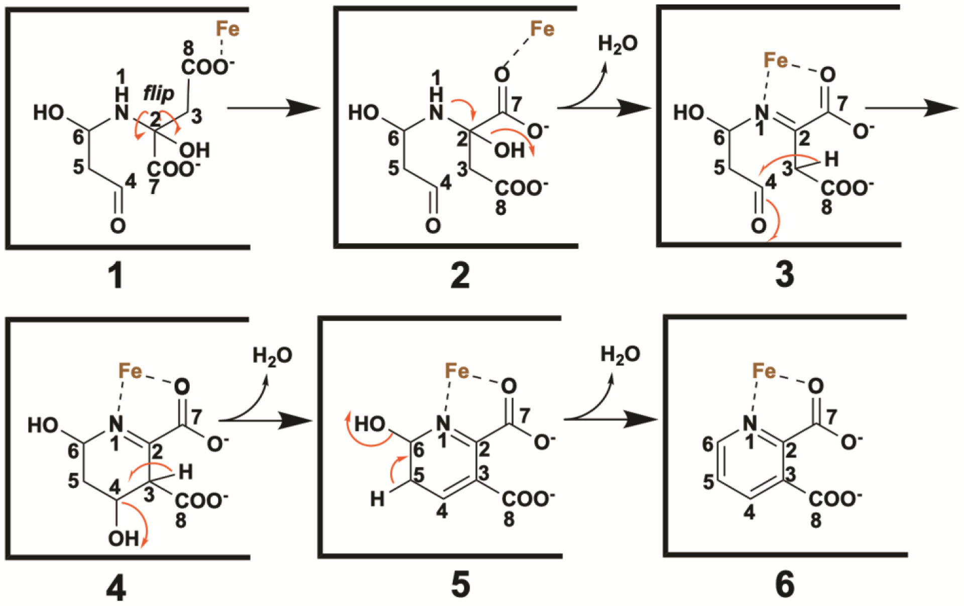 Figure 7.