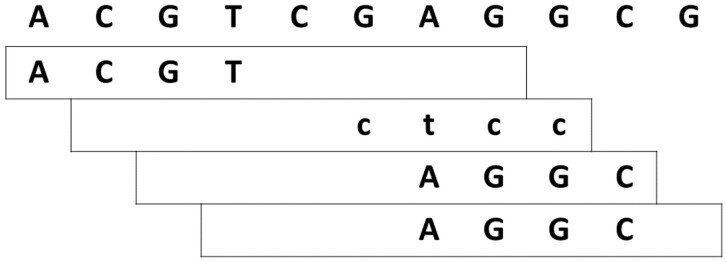 Fig. 1.