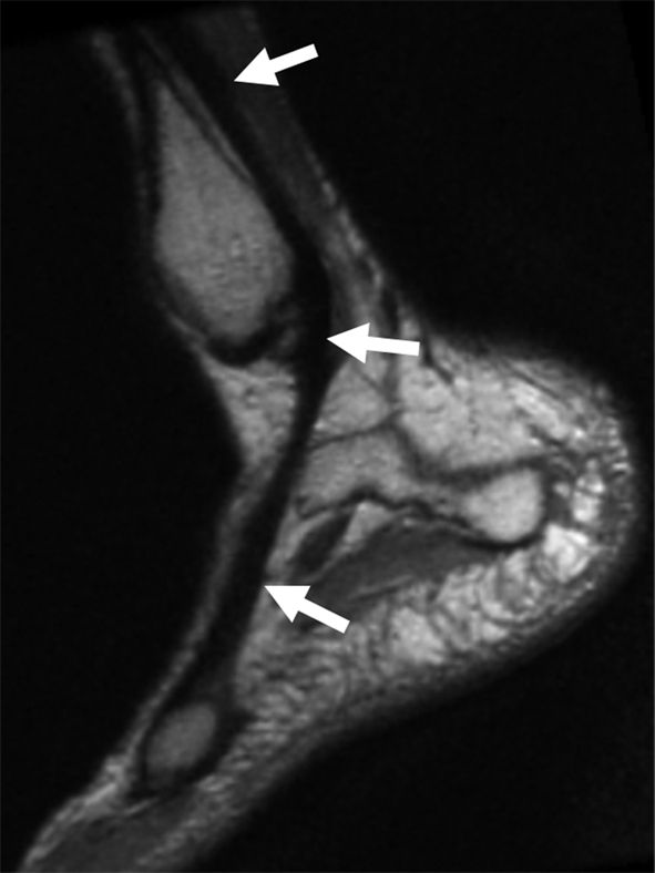 Figure 5a: