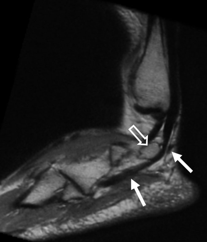 Figure 5b: