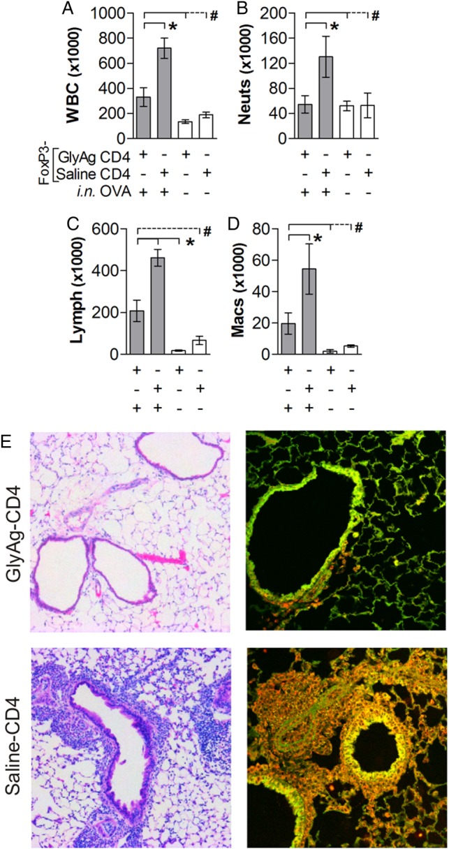 Fig. 4.