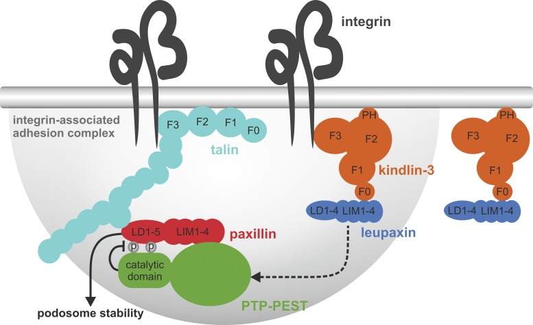 Figure 10.