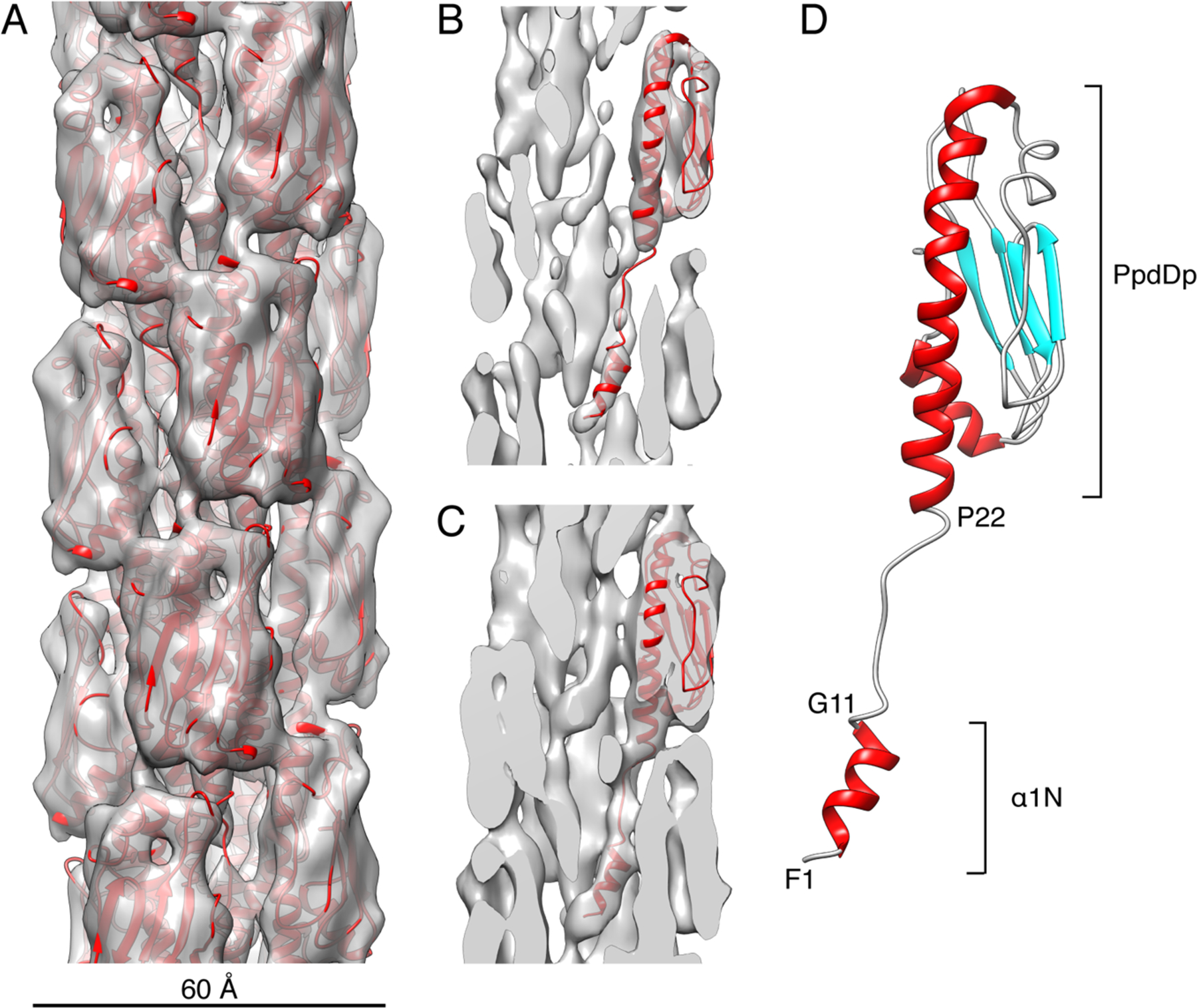 Figure 2.