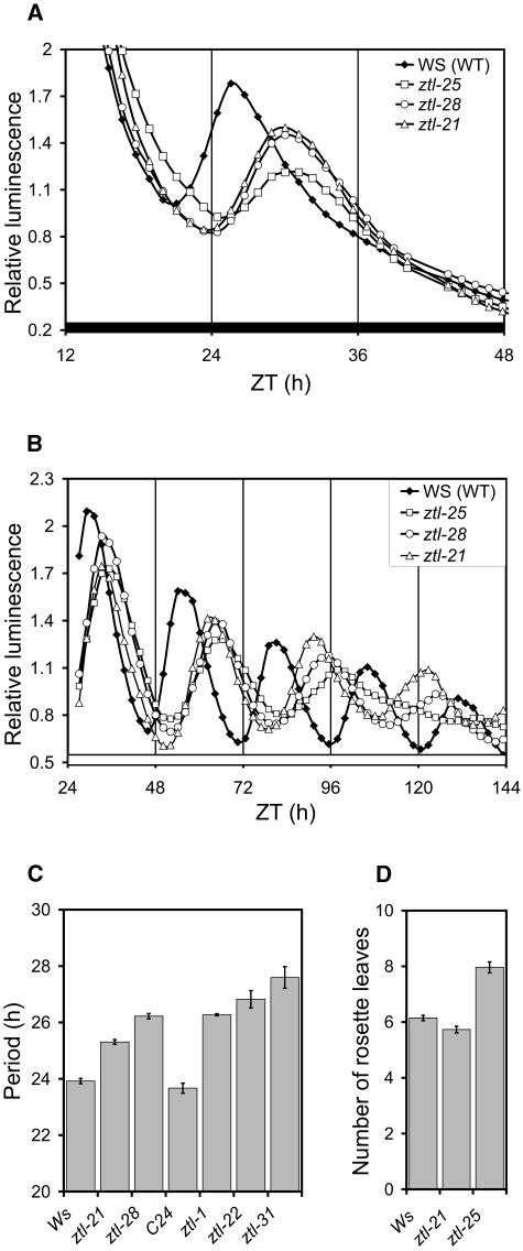 Figure 4.