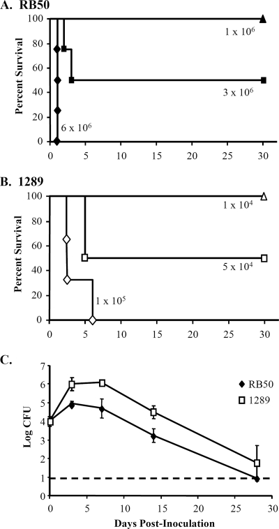 FIG. 1.