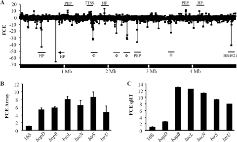 FIG. 2.