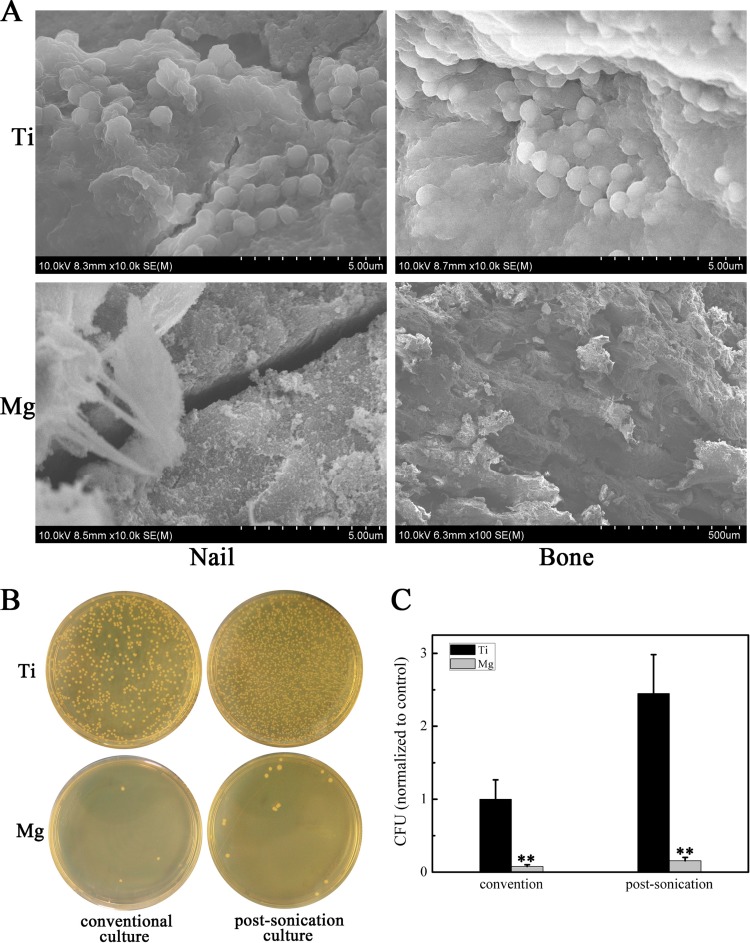 FIG 3