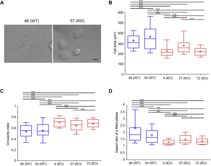 Figure 4