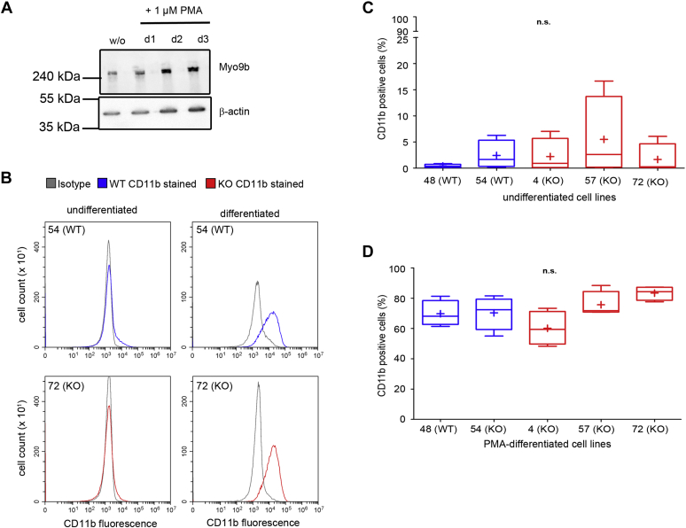 Figure 3