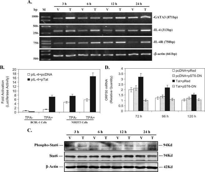 FIG. 6.