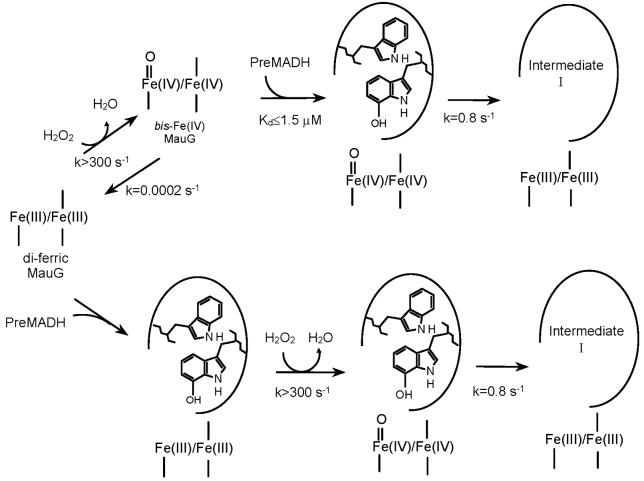 Scheme 2