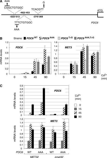 Figure 12.