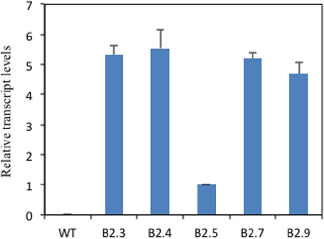 FIGURE 4