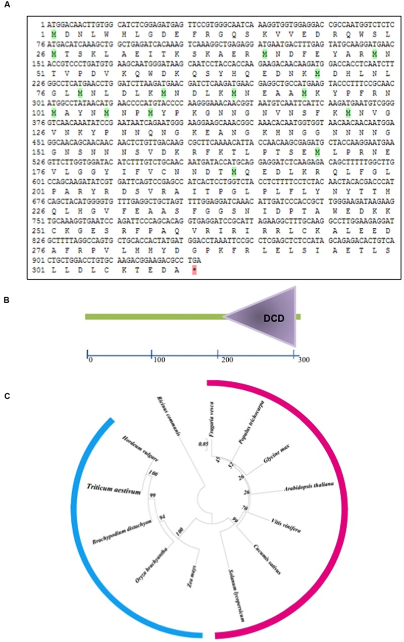 FIGURE 1