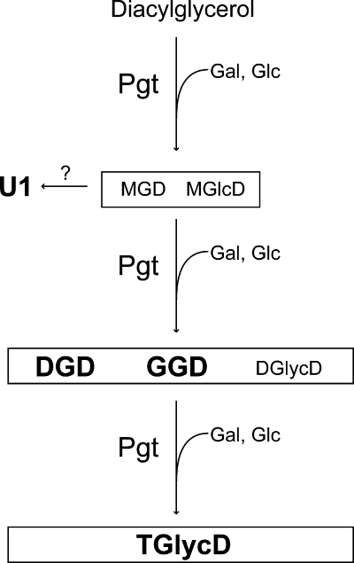 FIG. 6.