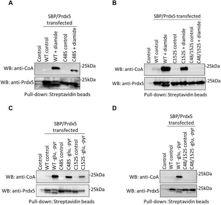 Fig. 4