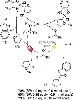 Scheme 5