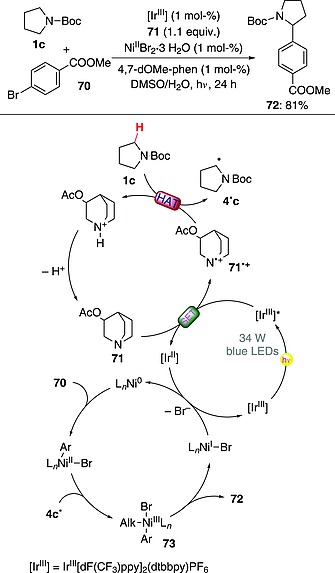 Scheme 19