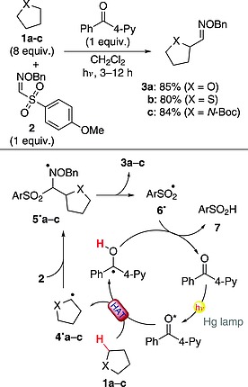 Scheme 3