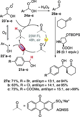 Scheme 7