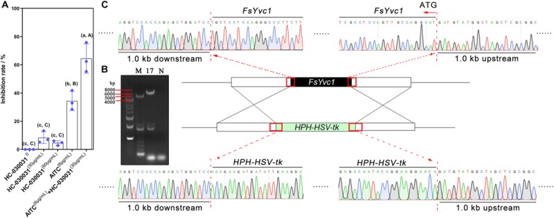 FIGURE 3