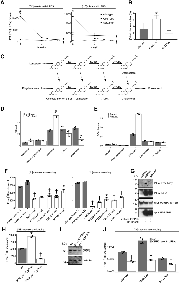 Figure 5