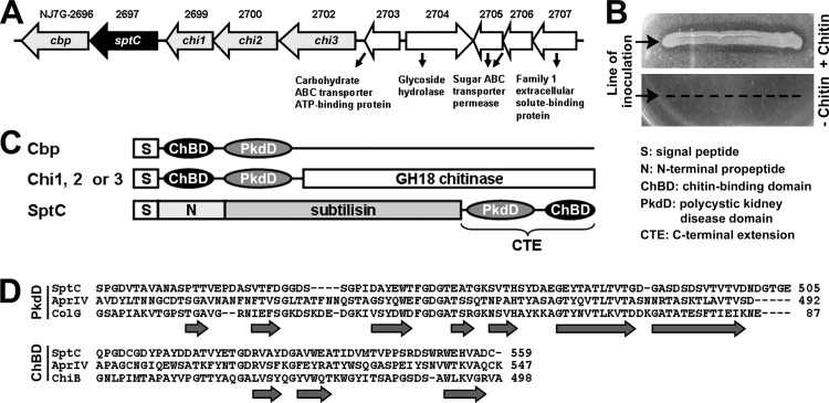 FIG 1