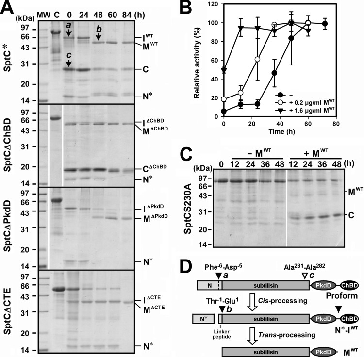 FIG 3