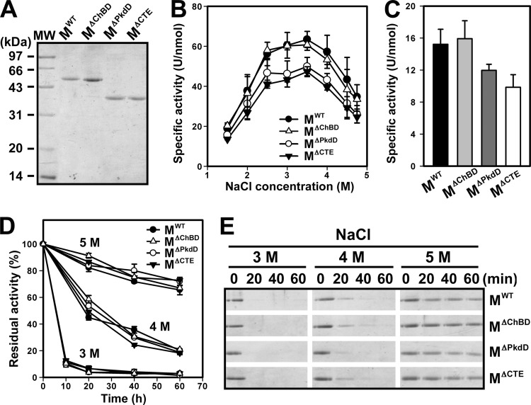 FIG 6