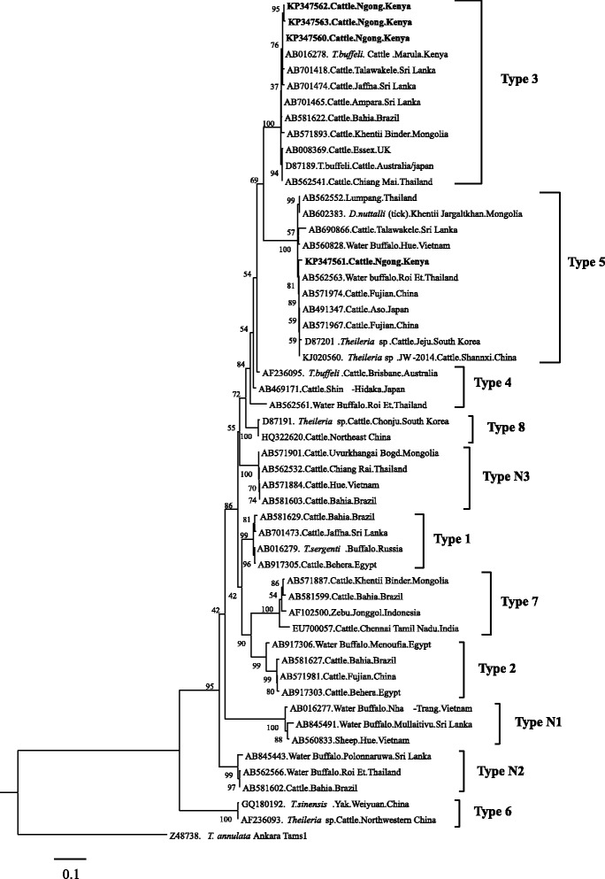 Fig. 5