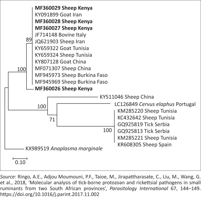 FIGURE 3