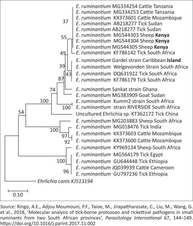 FIGURE 4