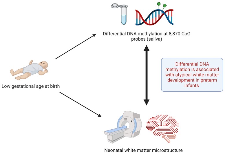 Graphical Abstract