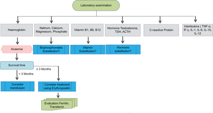 Figure 4: