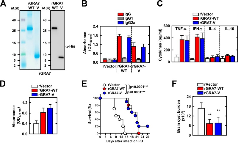 FIG 6