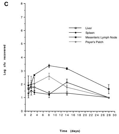 FIG. 1