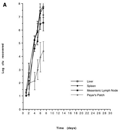 FIG. 1