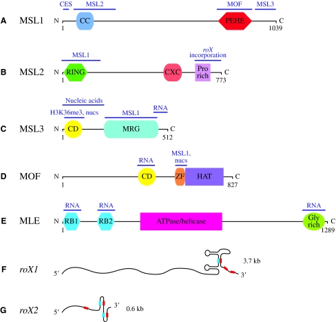 Fig. 3.