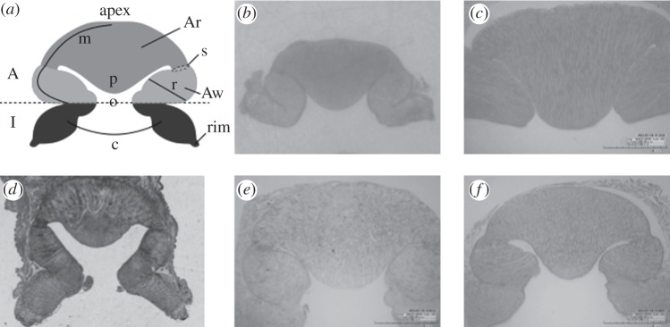 Figure 1.