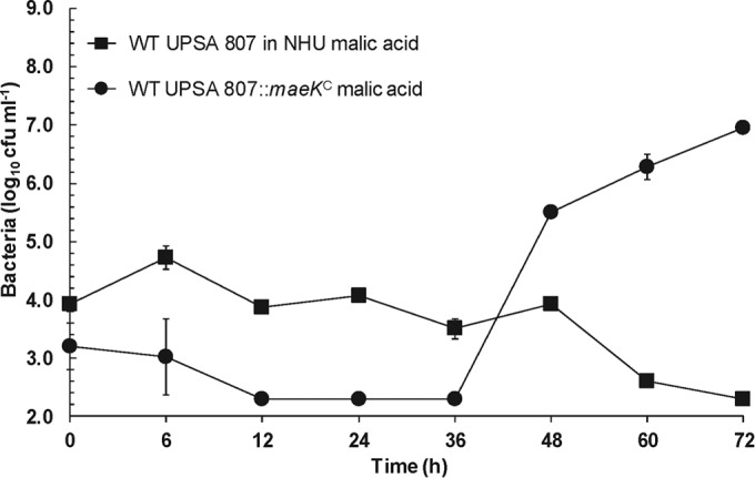 FIG 4