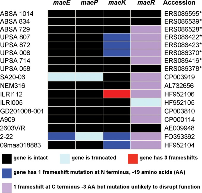 FIG 3