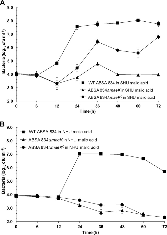 FIG 6