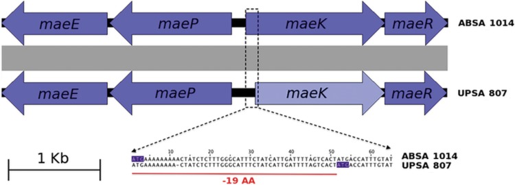 FIG 2