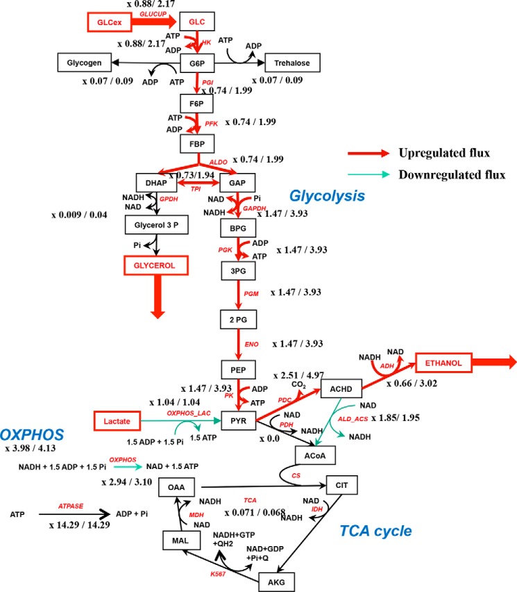 Figure 7.