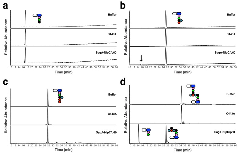 Figure 4—figure supplement 3.