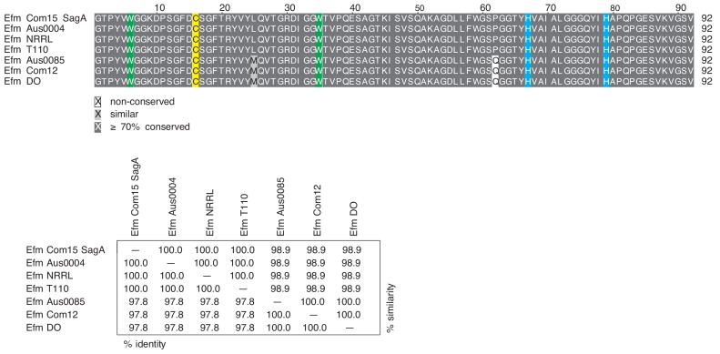 Figure 3—figure supplement 2.