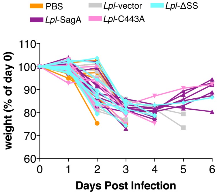 Figure 5—figure supplement 9.