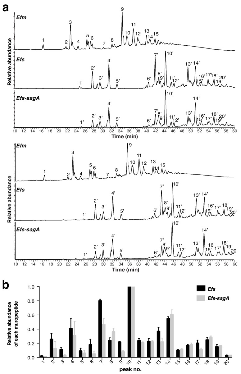 Figure 2—figure supplement 1.